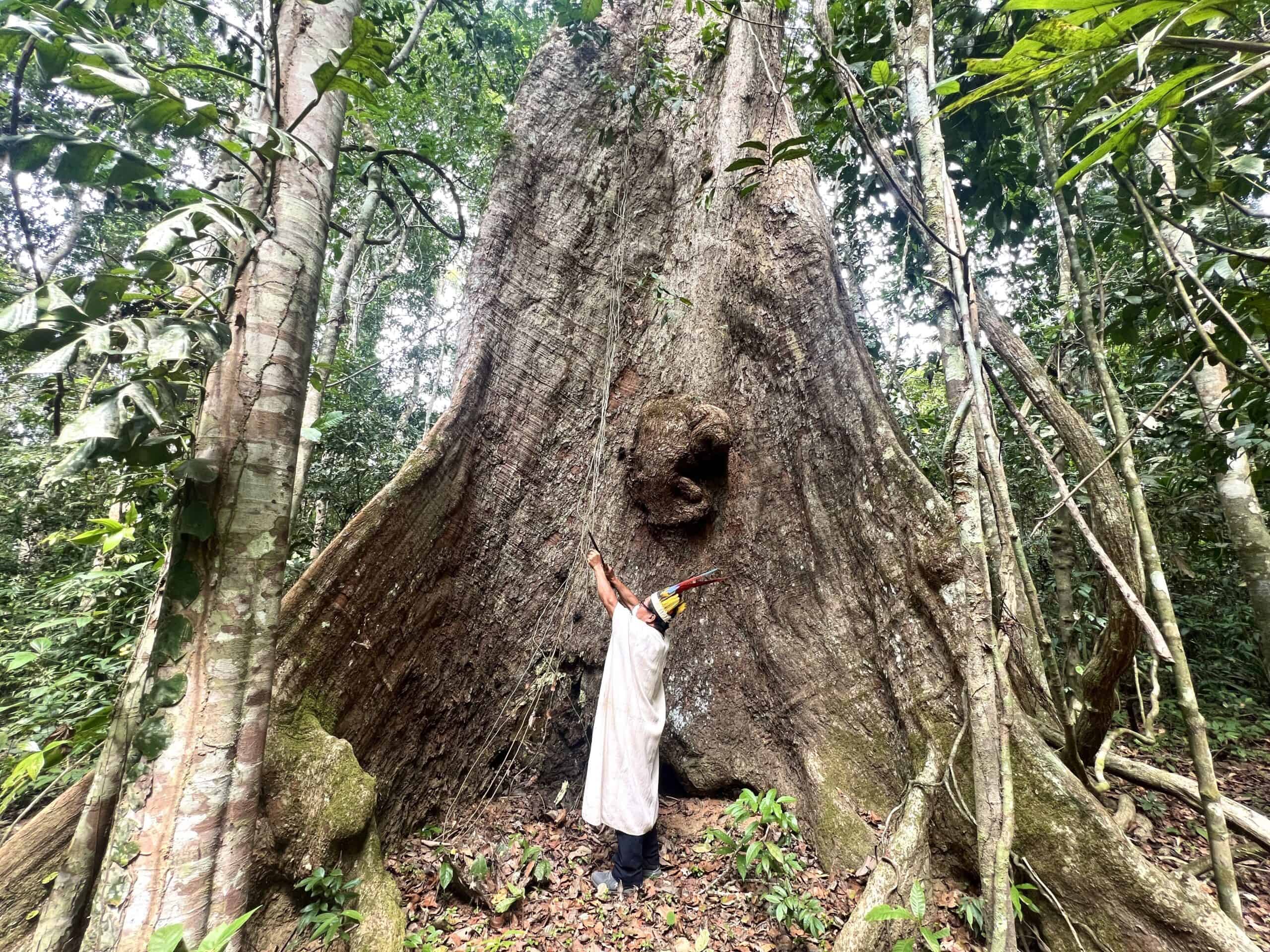 amazon peru shaman